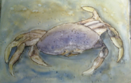 Dungeness Crab (2010)